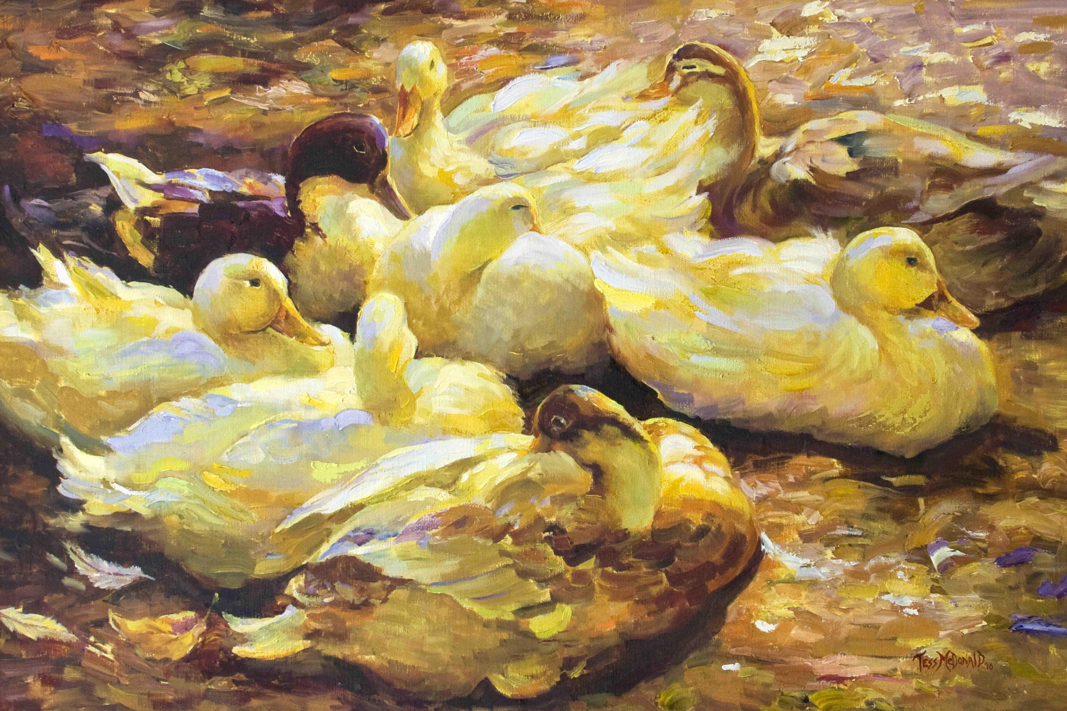 Painting of the ducks.